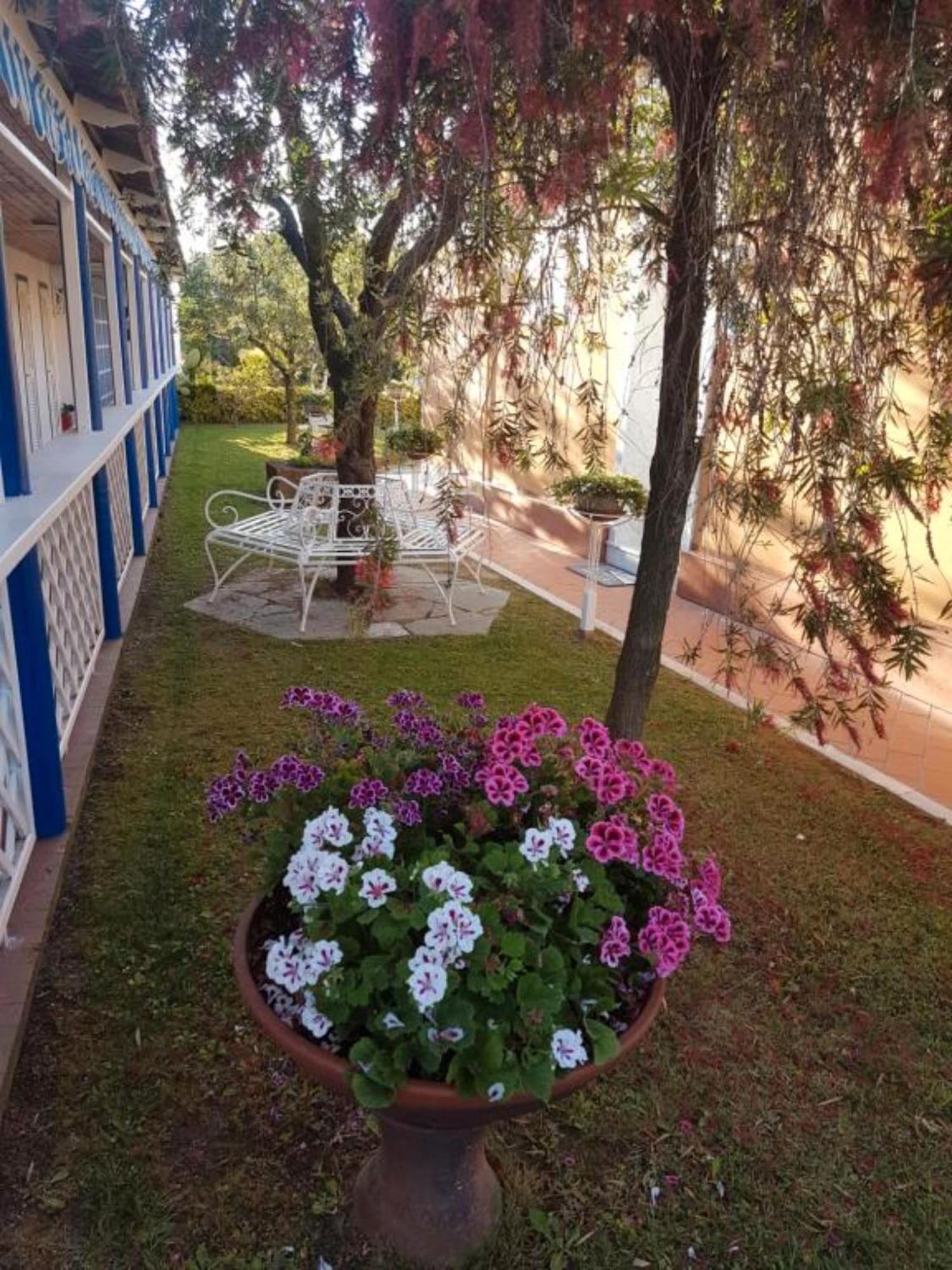Bed And Breakfast Bagno Venezia Marina Di Carrara Eksteriør billede